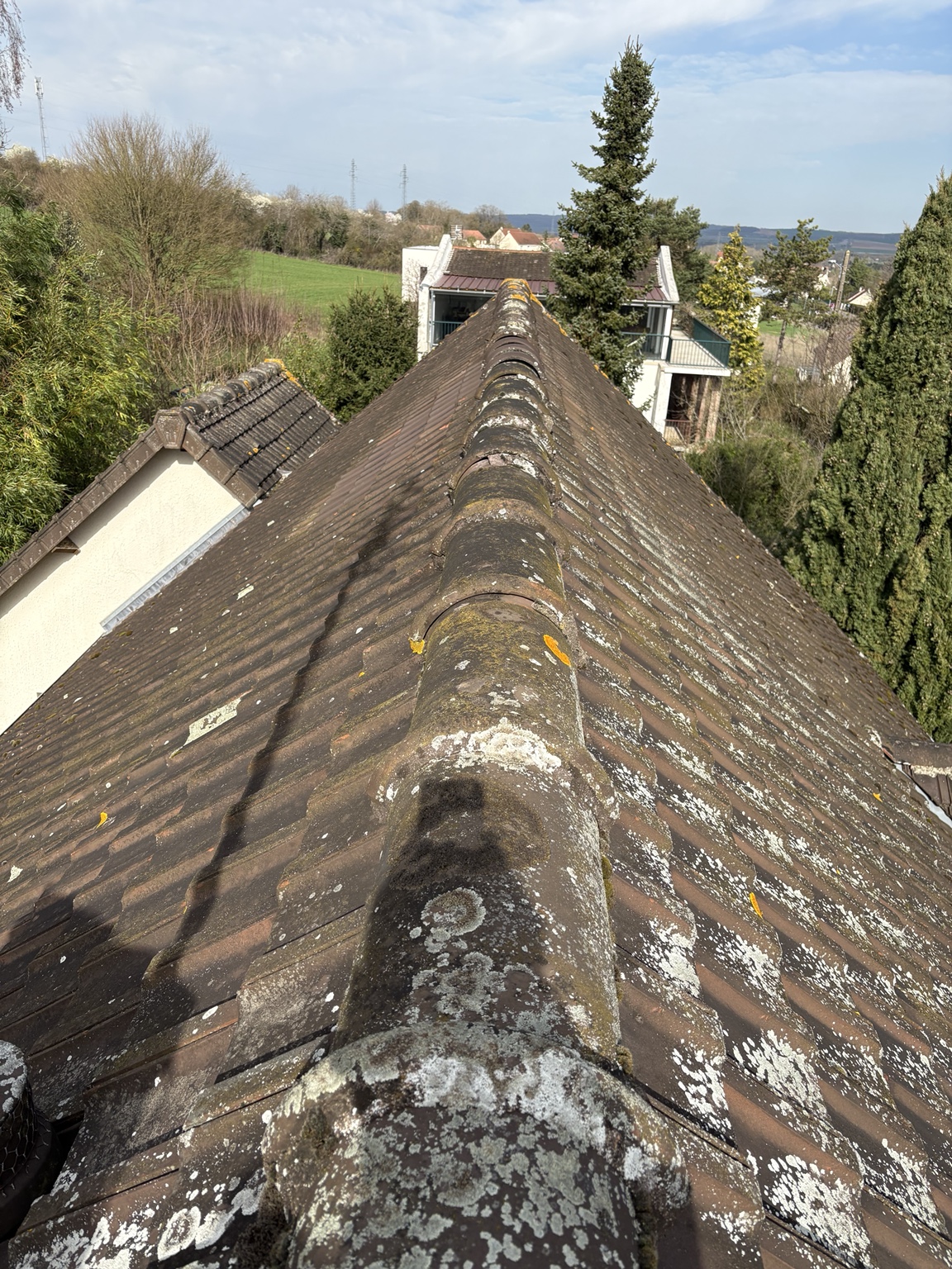 Démoussage toiture tuiles béton - L'Eco-Renov