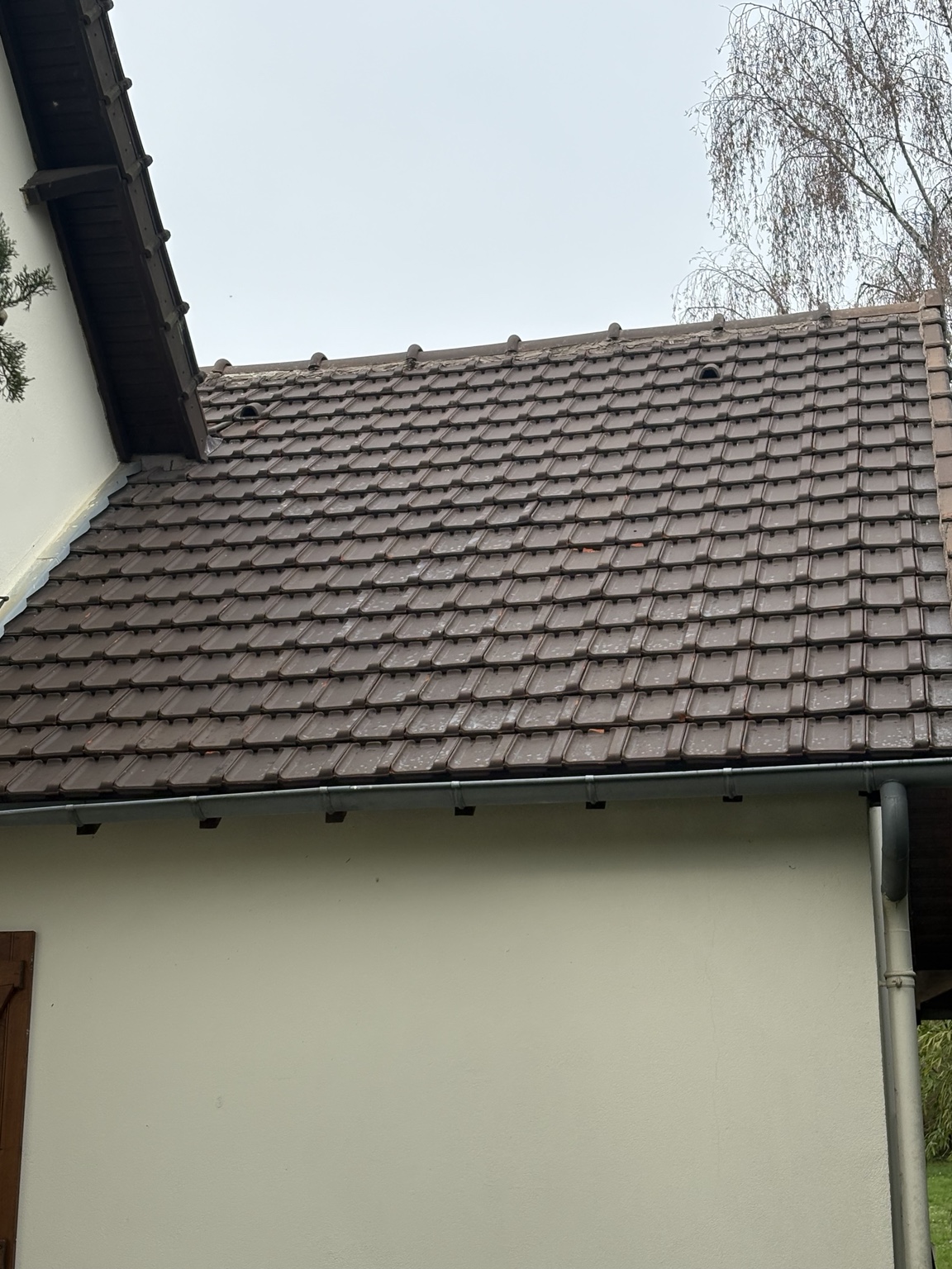 Rénovation et nettoyage de toiture - L'Eco-Renov
